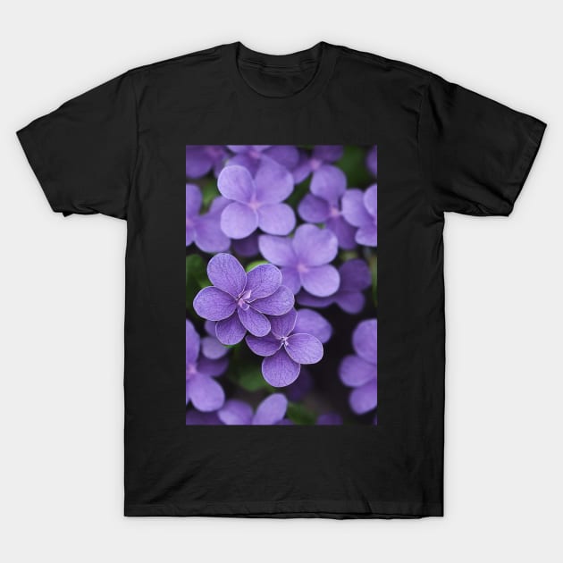 Beautiful Violet Flowers, for all those who love nature #131 T-Shirt by Endless-Designs